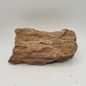 Raw Petrified Wood Composted of Mica and Silicates