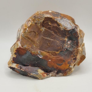May include: A large, irregularly shaped rock with a variety of colors. The rock features shades of brown, black, and orange, with some areas appearing lighter in color. The surface has a rough, textured appearance, suggesting a natural stone.