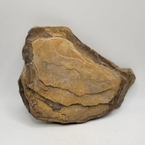 May include: A natural, layered rock formation with a mix of tan, brown, and beige hues. The rock has a rough, textured surface with visible layers and a unique, organic shape. The rock is set against a plain white background.