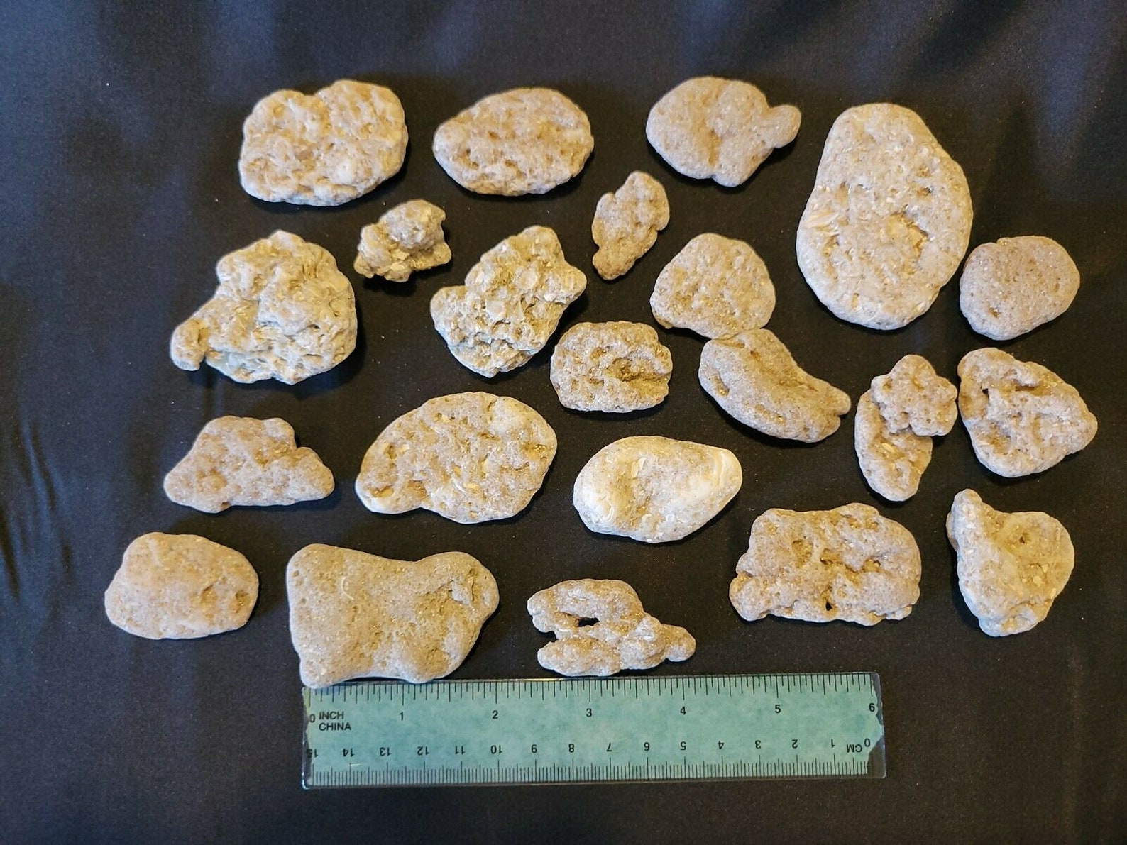 Coquina Rock Small Bulk Etsy