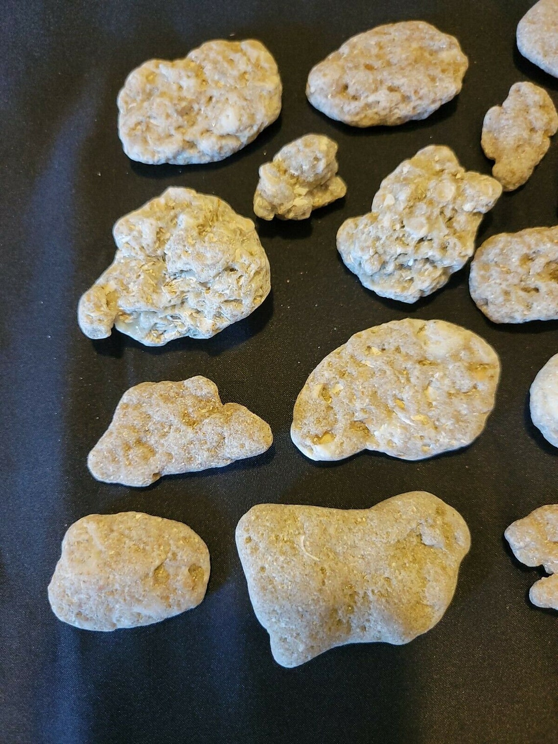 Coquina Rock Small Bulk Etsy