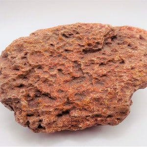 Raw Petrified Wood