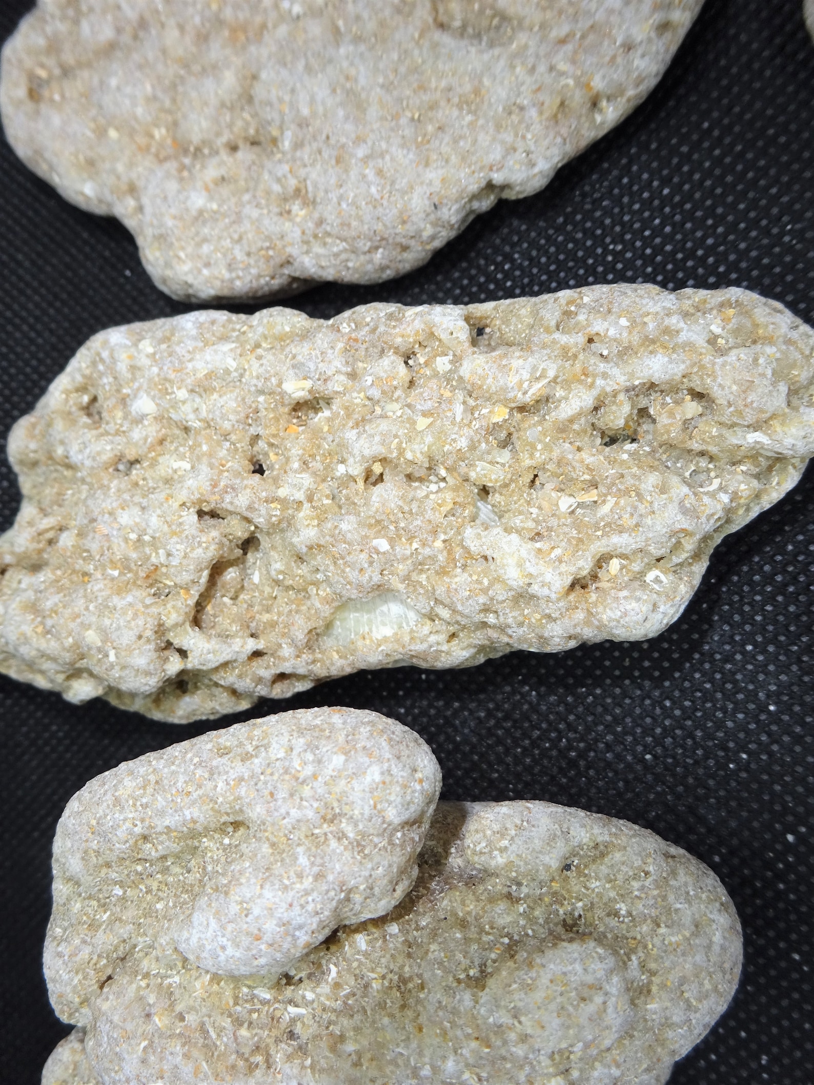 Coquina Rock Slab Etsy