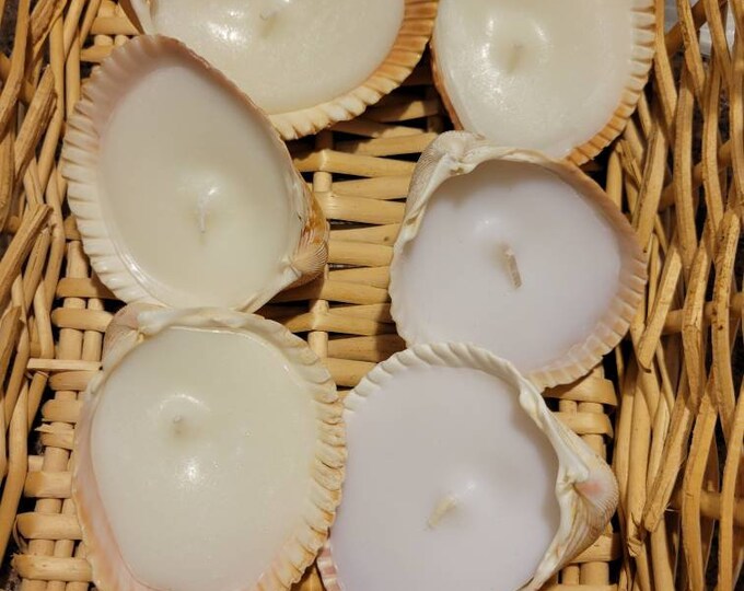 Large Shell Candles (lot of 6) - Etsy