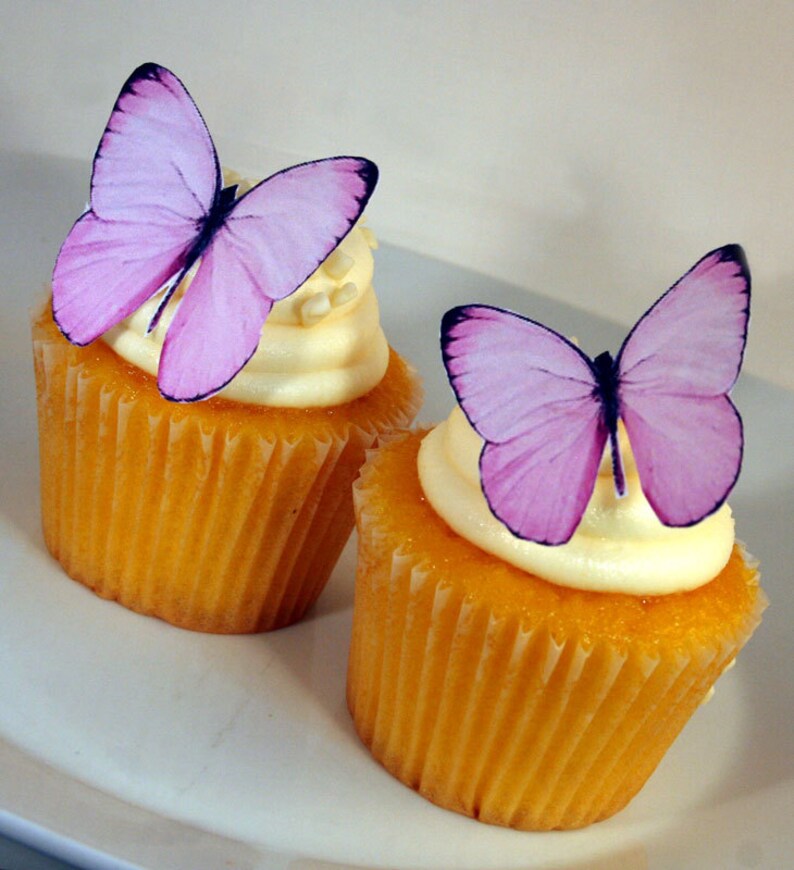 Edible Butterfly Cake Decorations Light Pink Edible Etsy