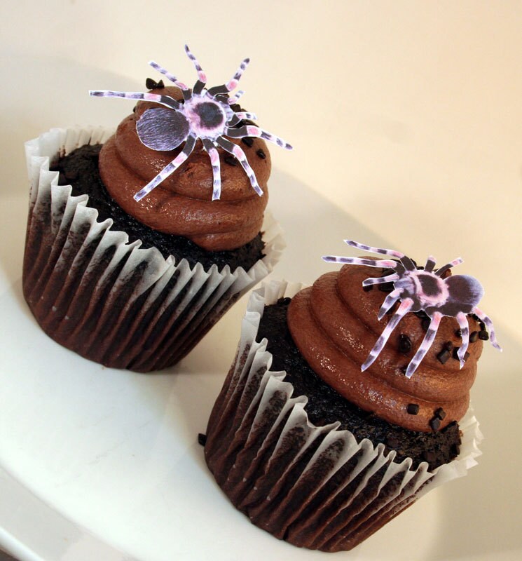 12 FLAT BROWN TARANTULA SPIDER EDIBLE CUP CAKE TOPPERS BOY PARTY DECORATION Z13 
