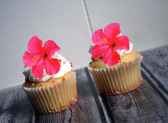 Edible Flower Cake Decorations Pink Hibiscus Cupcake And Etsy