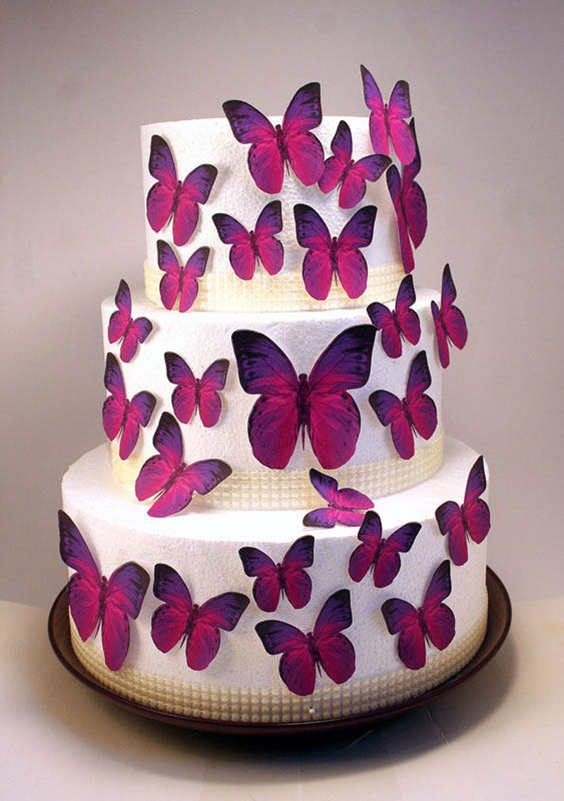 Edible Butterfly Cake Decorations Pink and Purple Edible Etsy
