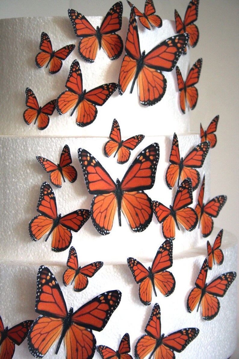 Edible Butterfly Cake Decorations Orange Monarch Edible Etsy Canada