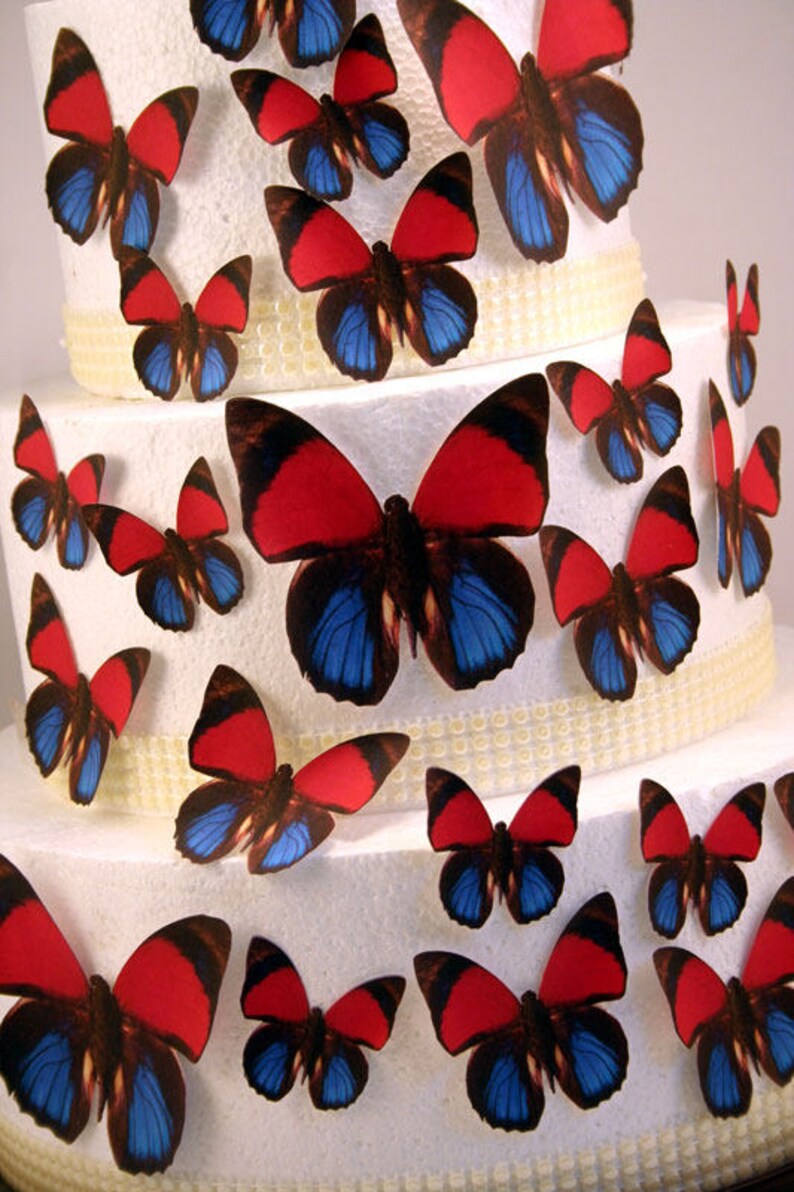 Edible Butterfly Cake Decorations Red Blue and Brown Etsy