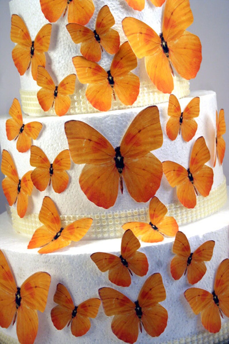Edible Butterfly Cake Decorations Bright Yellow Edible Etsy