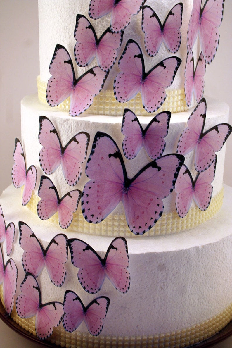 Edible Butterfly Cake Decorations Pastel Pink Edible Etsy