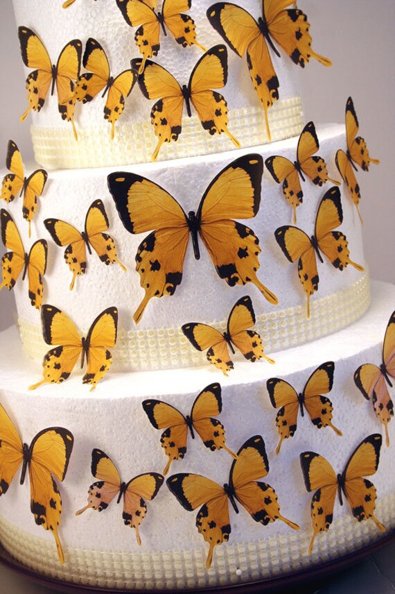 Edible Butterfly Cake Decorations Yellow And Black Edible Etsy