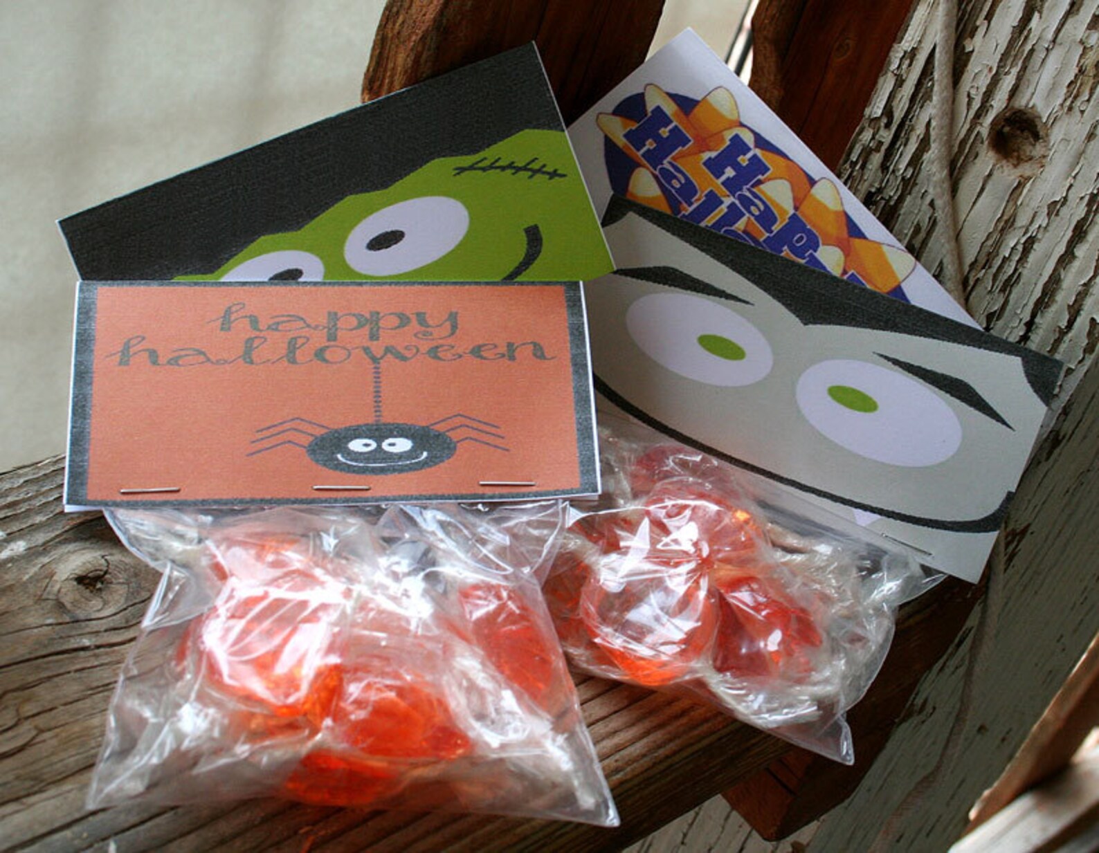 Halloween Party Favor Candy Bag Set of 4 Custom and Etsy