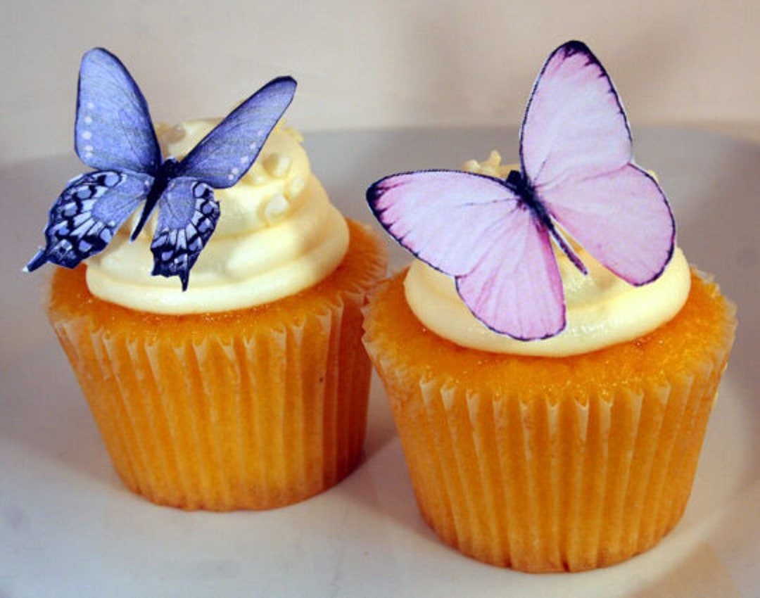 Edible Butterflies Wedding Cake Topper, Pink and Grey Edible Butterflies Set of 12 DIY Cake