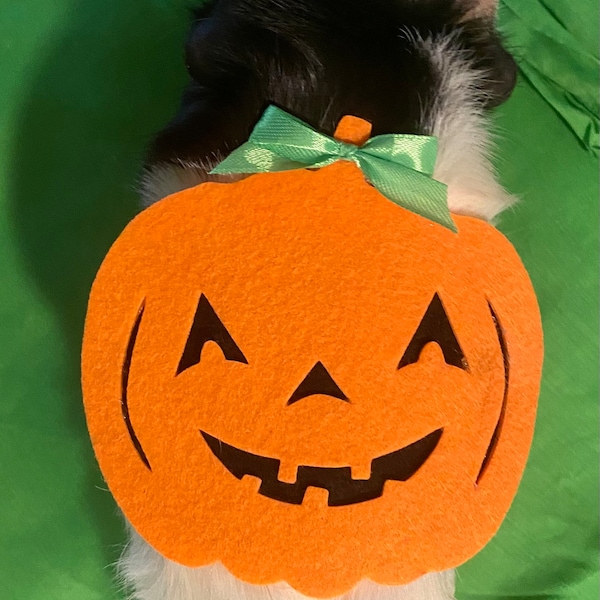 Pumpkin Costume for Guinea Pig or Other Small Animal