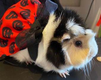 Red Jack o Lantern Skirt for Guinea Pig or other small animal