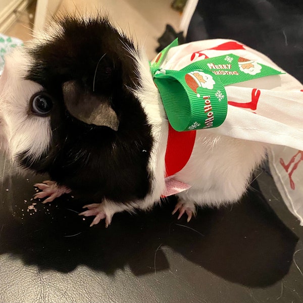 Christmas Moose Guinea Pig Skirt