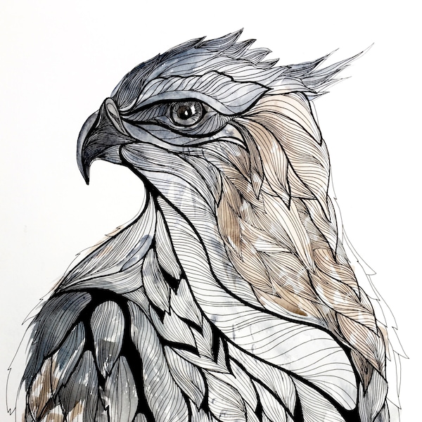 Hawk Art, Hawk Watercolor Painting, Hawk Pen and Ink Art, Bird Portrait Painting, Mountain Bird Home Decor, Bird Gift, Handmade - 8"x 10"