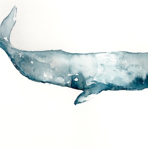 Blue Sperm Whale Watercolor and Ink Painting - Giclee Print