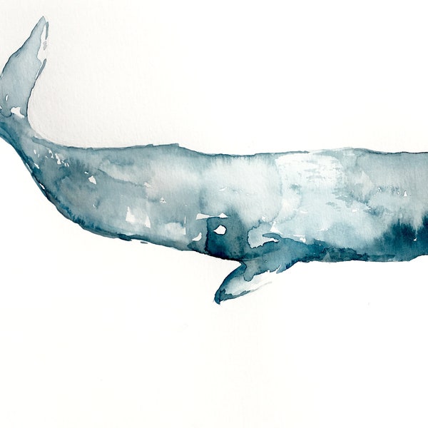 Set of 5 Sperm Whale Art Watercolor and Ink Greeting Cards, 4” x 6”