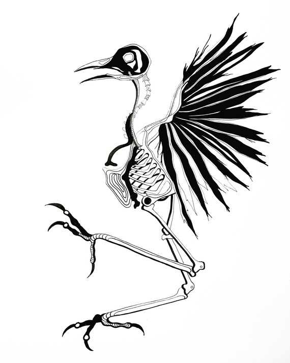 Oiseau En Vol Squelette Sumi Encre Et Stylo Dessin