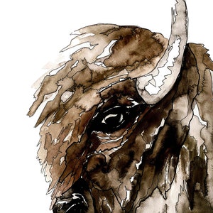 Buffalo Bison Watercolor and Ink Painting - Giclee Print