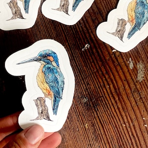 Kingfisher Bird Vinyl Sticker, Original Watercolor and Ink Art, Seattle Art