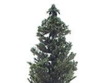 Dollhouse Miniature Conifer / Pine Tree -- 8" 10" or 12 Inches Tall