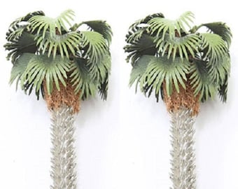 Dollhouse Miniature Handmade Mediterranean Fan Palm Trees -- 2 Pieces