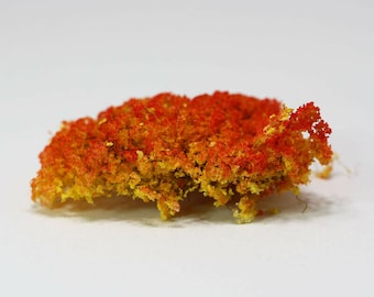 Dollhouse Miniature Wild Autumn Bushes - Set of 20 Pieces - 1:12 Scale