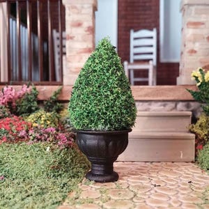 May include: A miniature cone-shaped topiary plant with vibrant green foliage, potted in a small, black, pedestal-style urn with a decorative fluted base. The plant is designed for dollhouse or diorama displays, featuring a textured finish.