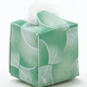 Caixa de lenços de papel em miniatura para casa de bonecas, na cor verde - Escala 1:12