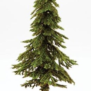 May include: A miniature model of a coniferous evergreen tree featuring a textured brown trunk and layered, pointed green branches. The tree has a tall, conical shape with dense, needle-like foliage that tapers towards the top point.