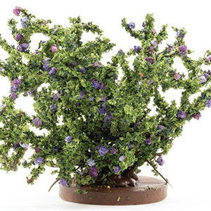 Dollhouse Miniature Large Purple Rose Bush - 1:12 Scale