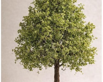 Miniature Oak Tree – Light Green Landscaping Tree for Dollhouse, Fairy Garden & Model Scenes (4”, 6”, 8”)