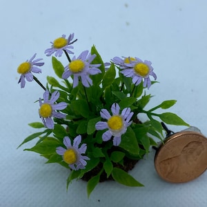 Puede incluir: Un pequeño grupo de flores de fieltro morado y amarillo con hojas de fieltro verde. Las flores están dispuestas en una maceta pequeña con tierra de fieltro marrón. Un centavo se coloca al lado de la maceta para la escala.