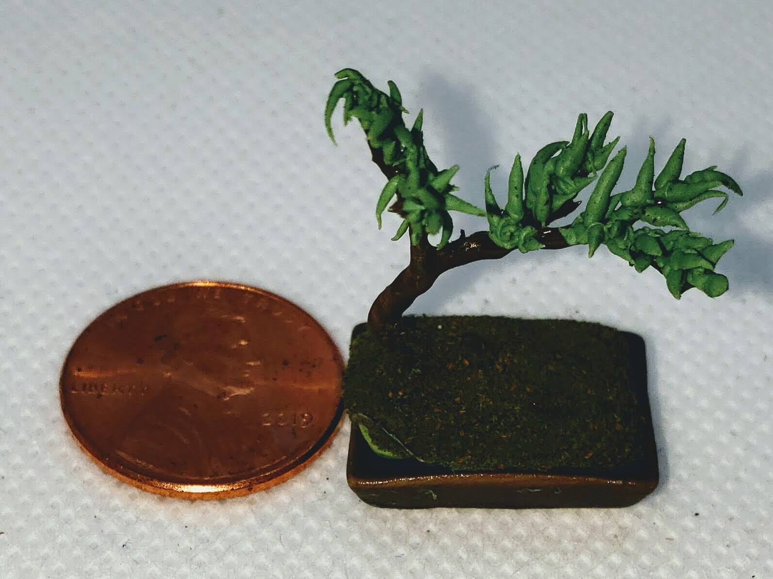 Vind plantjes poppenhuis op - december 2025