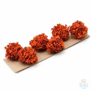 May include: Five small, textured, orange and dark red shrub-like clusters arranged in a row on a rectangular piece of brown cardboard. The clusters have a dense, granular appearance, resembling miniature foliage for scale modeling projects.