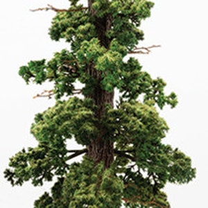 Dollhouse Miniature Handmade 17&quot; Giant Sequoia Tree - 1/12 1/24 1:48 Scale