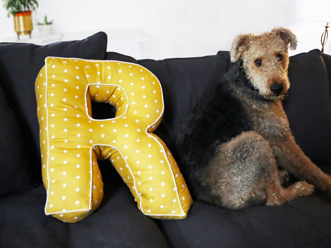 Alphabet Pillows PDF Sewing Pattern Pillow Pattern, Letter Pillow