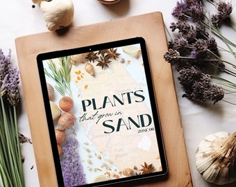May include: A digital tablet displaying a map of Florida with the text "PLANTS that grow in SAND ZONE 0B" on a wooden surface with dried lavender flowers and a seashell.