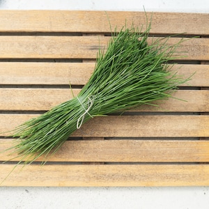 Fresh Harvest Pine Needles For Tea, Tinctures, and Crafts