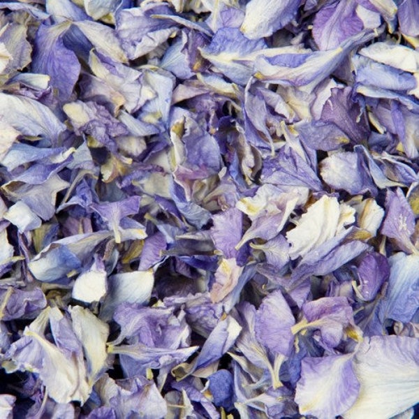 Biodegradable Confetti, Wedding Confetti, Flower Confetti Bulk, Purple Flower Petals - Something Blue