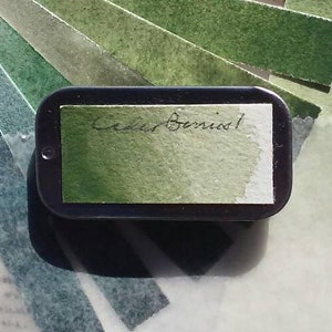 Cedar Berry1 Watercolor