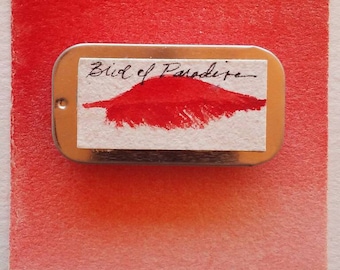 Bird Of Paradise Watercolor