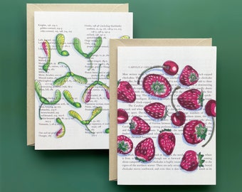 Set of 5 Fruit & Seeds Cards