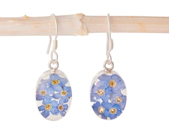 May include: Silver dangle earrings with a clear oval resin charm featuring pressed forget-me-not flowers.