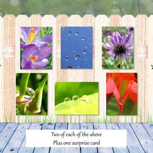 In der Wiese Grußkarten-Kollektion | Boxed Briefpapier-Set | Friedliche Natur Grußkarten | Karten mit Gedichten | Brief Schreiben Geschenk