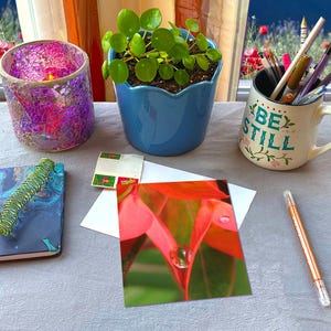 May include: A still life arrangement featuring a blue ceramic pot with a green plant, a mosaic glass candle holder, and a mug with the text "BE STILL". Also present are a small notebook, a pen, and a photograph of red leaves.